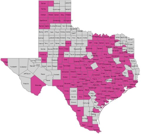 2025 Ambetter Texas Guide Texas - Texas Coverage 480x455 